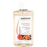 Regeneráló Sampon Homoktövis Kivonattal Pellamar, 250 ml