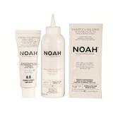 term-eacute-szetes-hajfest-eacute-k-vil-aacute-gos-sz-ke-8-0-noah-1716800472547-1.jpg