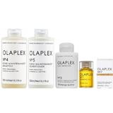 Csomag a Haj Karbantartására Olaplex - Sampon OLAPLEX No. 4, 250 ml; Balzsam OLAPLEX No. 5, 250 ml; Kezelés OLAPLEX No. 3, 100 ml; Hajolaj OLAPLEX No. 7, 30 ml