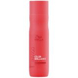 Sampon festett, durva hajra - Wella Professionals Invigo Color Brilliance Color Protection Shampoo Coarse Hair, 250ml