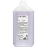 Sampon Minden Hajtípusra, Zab és Levendula Kivonattal - FarmaVita Back Bar Gentle Shampoo No.03 Oats and Lavender, 5000 ml