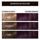 tart-s-hajfest-k-amm-ni-val-loncolor-hempstyle-rnyalata-4-25-lila-gesztenye-1-csomag-2.jpg